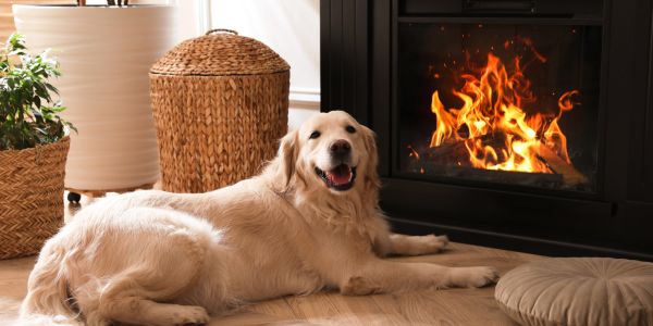 Electric Fireplace Safety Tips for Families with Children and Pets